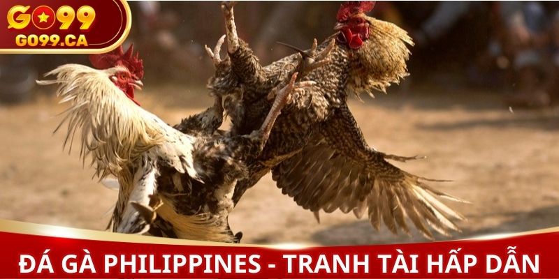 Đá gà Philippines là bộ môn tranh tài hấp dẫn
