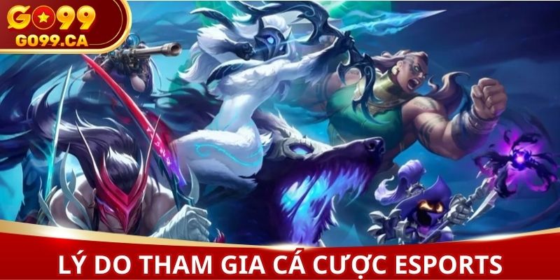 Lý do hội viên tham gia cược Esports online