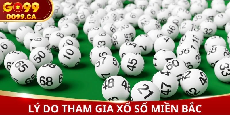 Lý do mọi người nên tham gia xổ số miền Bắc online